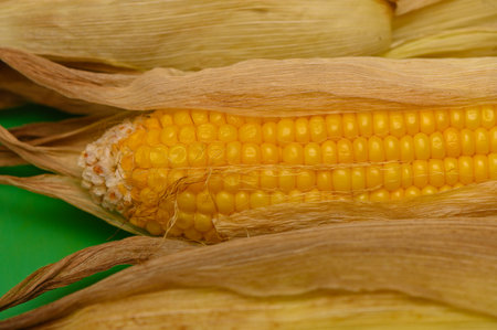 Whole corn cobs baked in oven, served hot on a rustic tray.の写真素材