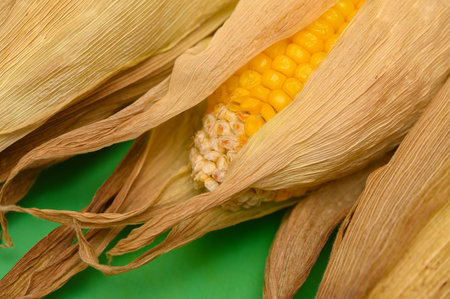 Baked Corn on the Cob with Golden Crust