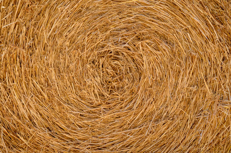 Detailed straw bale texture in golden tones, perfect natural background.の写真素材