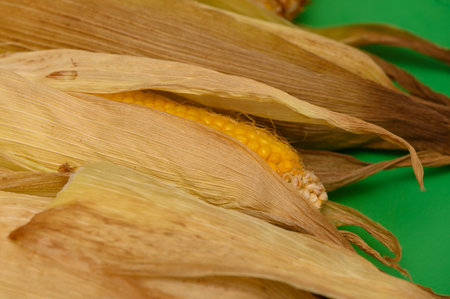 Oven Roasted Corn Cobs on Rustic Trayの写真素材