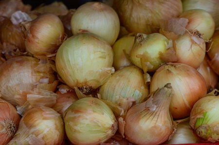 A pile of fresh onions in a wooden crate at a local market on Cyprus.の写真素材