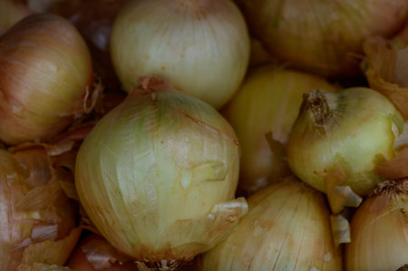 Fresh Onions in a Wooden Crate at Cyprus Marketの写真素材