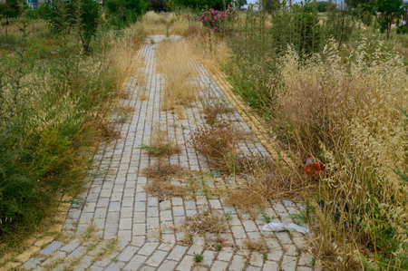 Old pedestrian path with stone tiles partially covered by grass and weeds. A quiet and slightly neglected walkway in Cyprus.の写真素材