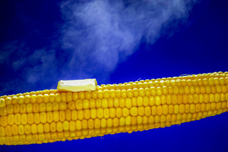 Delicious yellow corn on the cob with a melting piece of butter on top, placed against a vibrant blue background.の写真素材