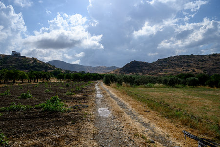 Rural road through a garden toward the mountains in Cyprusの写真素材