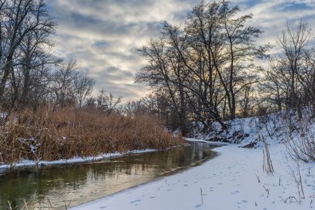 Picturesque Borovaya River near Severodonetsk in winter with snowy banks and frozen trees. Calm...