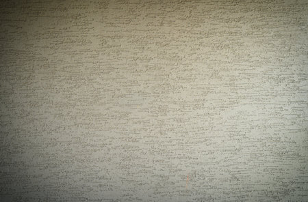 Close-up of plastered wall with bark beetle style decorative finish. Rough textured surface...