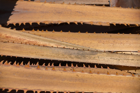 Detailed close-up of a dry date palm leaf with natural lines and textures, ideal as a background for...