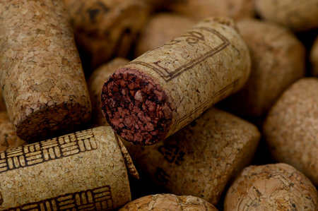 Close-up of assorted wine and champagne corks used as rustic bar decor. Warm lighting and cozy atmosphere.の写真素材