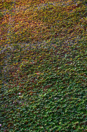 Old wall close-up with visible texture, cracks, and wear. Perfect as a background for photography,...