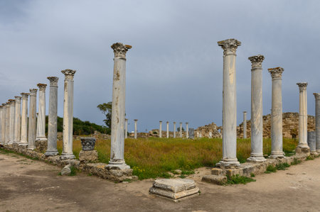 Remnants of ancient columns in the ruins of the city of Salamis, Northern Cyprus. Stone pillars, arches, and ruined walls showcase the architecture and cultural heritage of antiquity.の写真素材