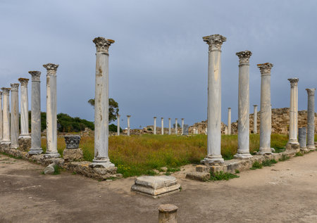 Remains of ancient columns and arches in the ruins of the city of Salamis, Northern Cyprus. Open-air historical architecture preserving the atmosphere of antiquity.の写真素材