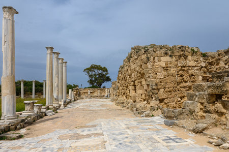 Stone columns in the ruins of the ancient city of Salamis. Remnants of classical architecture in Northern Cyprus create a sense of historical atmosphere.の写真素材
