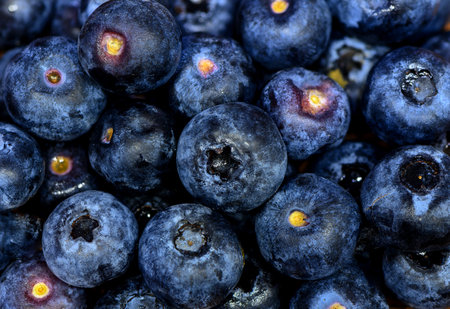 Close-up of blueberries showing surface texture and color, ideal as a natural food background for culinary projects.の写真素材