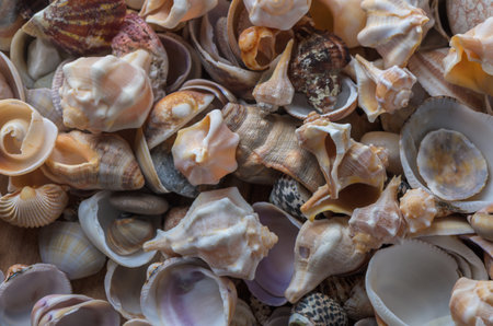 Brightly colored Mediterranean seashells scattered with smooth pebbles. Ideal background for summer,...