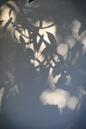 Wall illuminated by sunlight with soft shadows of leaves and branches. Ideal background for design,...