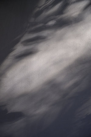 Close-up of plastered wall texture, natural light highlights surface details and texture.の写真素材