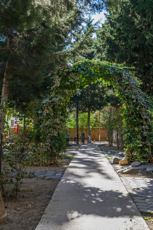 A green arch over a pedestrian alley in a residential complex provides shade and a cozy atmosphere for walking.の写真素材