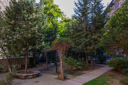 Pedestrian paths among green plantings in a residential complex create a cozy space for walking and relaxation.の写真素材