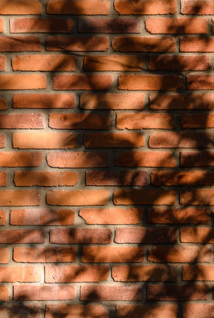 Rough red brick wall covered in gentle shadows from leaves and twigs. Contrast of texture and light highlights autumn melancholy, perfect as a natural backdropの写真素材