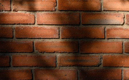 Red brick wall in warm sunset light with light shadows from leaves and branches. Texture and...