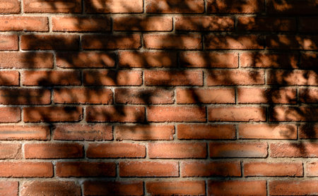 Shadow of tree branches on a red brick wall in sunlight. Natural pattern of light and shadow creates an atmospheric background for design and texture use.の写真素材