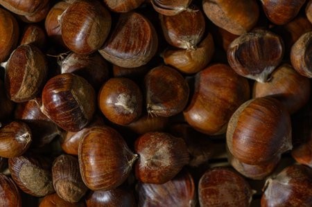 Studio shot of Shida Kartli chestnuts with relieved skin on white background. Warm tones and texture form a lively backdrop for food stories and autumn gift advertising.の写真素材