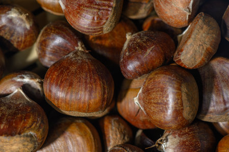 Studio shot of Adjarian edible chestnuts with matte skin on white background. Deep shades and relieved texture form a lively backdrop for food stories and Adjarian autumn gift advertising.の写真素材