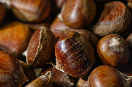 Studio shot of lots of chestnuts with relieved skin on white background. Authentic tones and texture form a lively backdrop for food stories and Tbilisi seasonal product advertising.の写真素材
