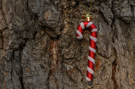 Traditional candy cane with vibrant red stripes decorating Christmas tree. One of the most recognizable symbols of winter holidays.の写真素材