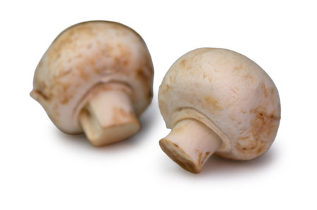 Two Fresh Whole Button Mushrooms on White Background. Paired Product Photography.の写真素材