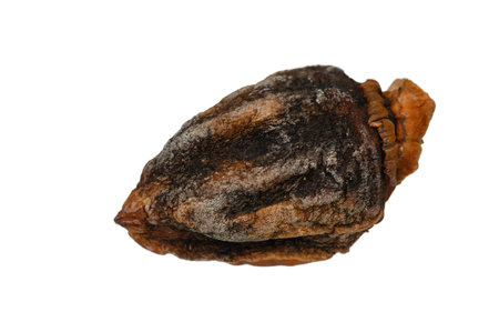 A single sun-dried persimmon with a rich, caramelized hue and naturally wrinkled surface, placed on a bright white background. Captures the rustic elegance and wholesome simplicity of this traditional dried fruit.の写真素材