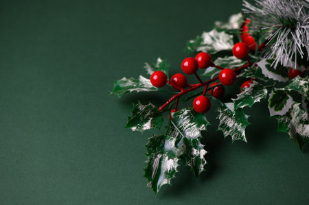 Holly Branch with Red Berries on Solid Green Backgroundの写真素材