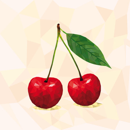 Polygonal cherry in vector.