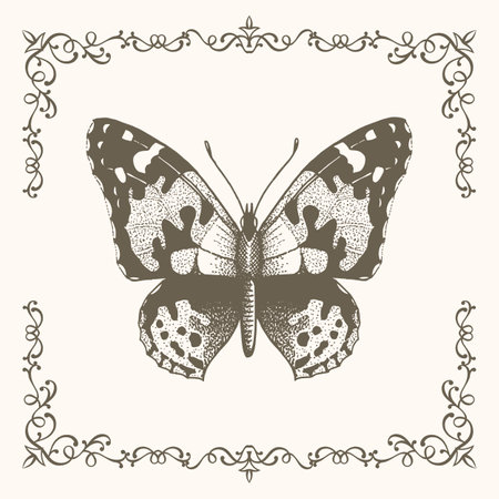 Hand drawn butterfly. Butterfly with frame in vintage style. Drawing for printing on T-shirts, printing.のイラスト素材