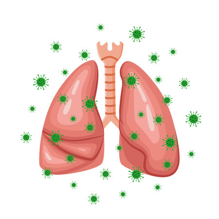 Vector drawing of lungs with viruses. Human organ lungs. The virus attacks the lungs.のイラスト素材