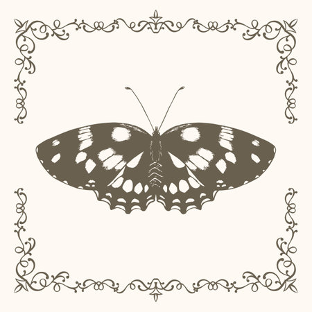Vintage butterfly drawing with frame. Hand drawn butterfly. Drawing for printing on T-shirts, printing products.のイラスト素材