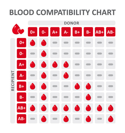 Blood group compatibility table. Blood groups for donation. Blood group table.. Blood groups for donation. Blood group table.のイラスト素材