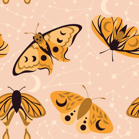 A pattern with night moths and constellations. Background with a boho moth.のイラスト素材