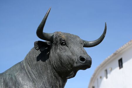 bull in front of arenaの写真素材