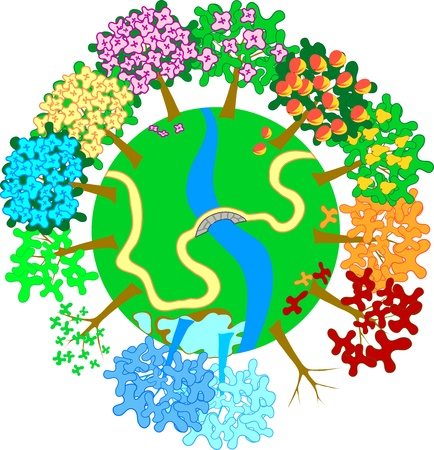 Seasonal trees on the earth with river and roadのイラスト素材