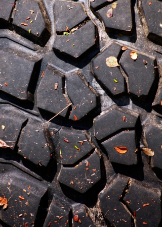 Texture of tread of tyre with autumn leaves
