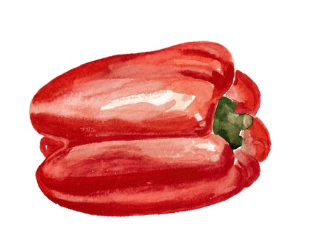 Watercolor image of red paprika isolated on white backgroundの写真素材