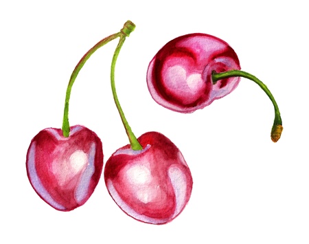 Watercolor image of three berries of sweet cherryの写真素材