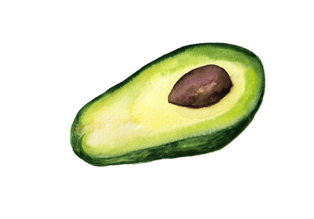 Watercolor image of half of avocado isolated on white backgroundの写真素材