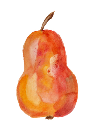 Simple watercolor image of red pear on white backgroundの写真素材