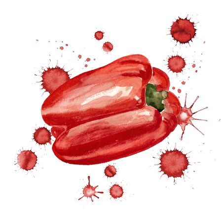 Watercolor image of red paprika with paint blots on white backgroundの写真素材