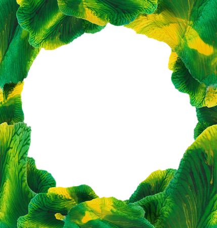 Abstract frame with watercolor green-yellow monotype spot on white background like as tropical leavesの写真素材
