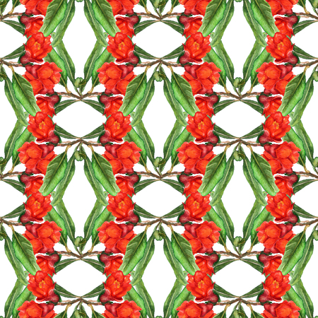 Seamless pattern with watercolor images of flowers of pomegranate. Good design for wallpaper, fabric or wrapping paper.の写真素材