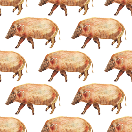 Seamless pattern with watercolor image of red river hog. Good design for wrapping paper, textile, scrap bookingの写真素材